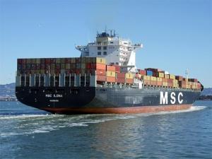 China Sea Freight Forwarding Services to USA on sale 